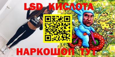 крисы Дубна