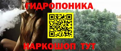 крисы Дубна