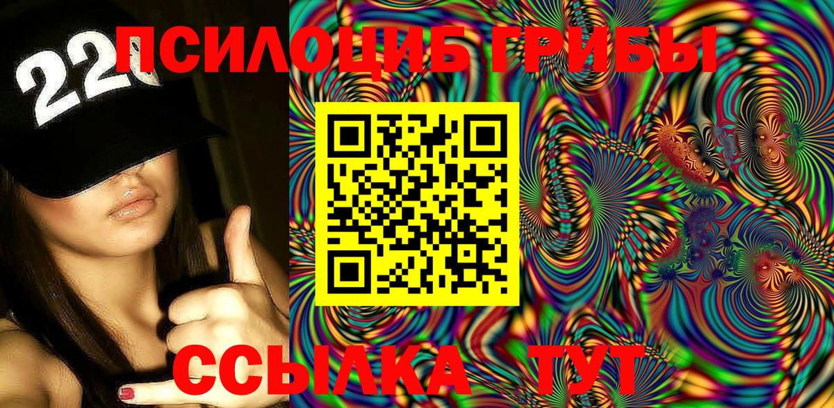 Нефтекумск  Псилоцибиновые грибы Psilocybine cubensis  Вход с VPN 