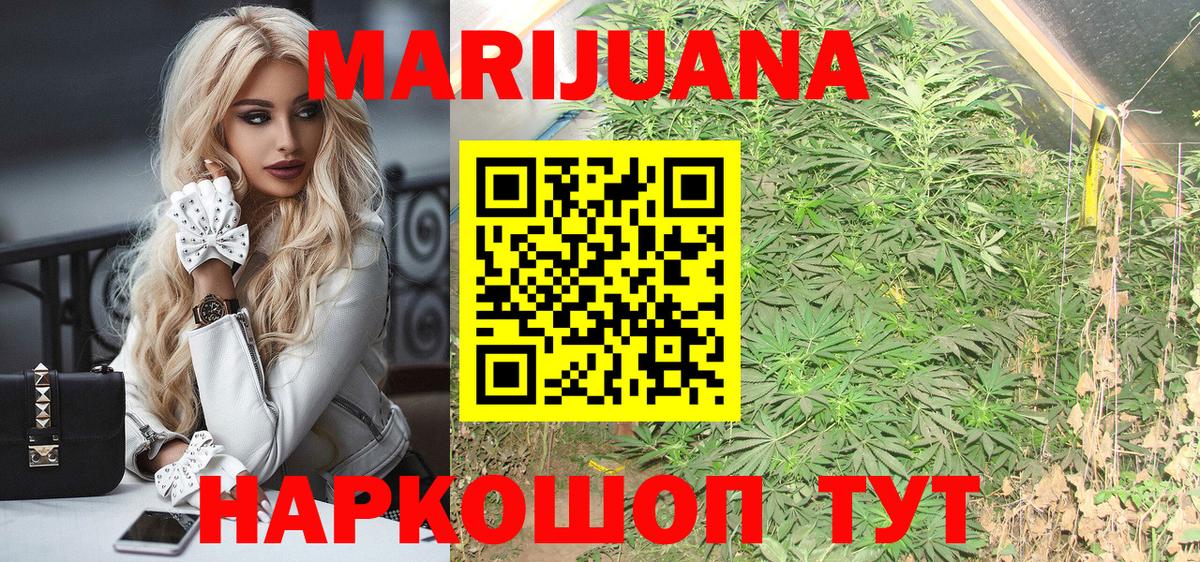 Каннабис Ganja  МАРИХУАНА планчик  Нефтекумск  Вход с VPN 